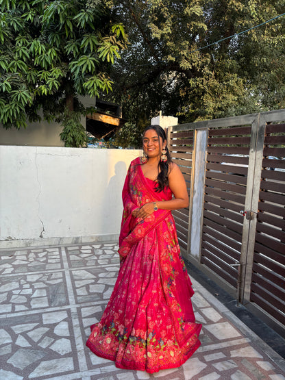 Ombre Pink Baghicha Lehenga Set